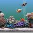 Marine Aquarium