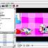 Flash Player Pro