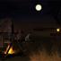 Savannah Camp Animated Wallpaper