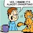 Garfield Desktop